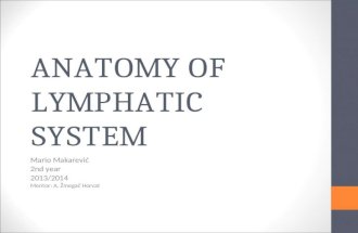 ANATOMY OF LYMPHATIC SYSTEM Mario Makarević 2nd year 2013/2014 Mentor: A. Žmegač Horvat.