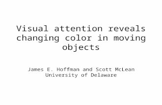 Visual attention reveals changing color in moving objects James E. Hoffman and Scott McLean University of Delaware.