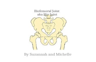 Iliofemoral Joint aka Hip Joint By Suzannah and Michelle.