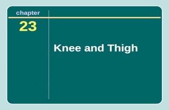 Chapter 23 Knee and Thigh. The Knee The knee is one of the most frequently injured joints in athletics. The forces applied to it during sport activities.