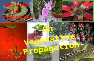 On Vegetative Propagation Welcome to a session. Quick Recap….Hey! You know pretty well about these parts..