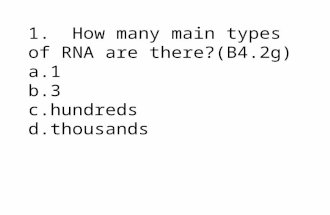 1. How many main types of RNA are there?(B4.2g) a.1 b.3 c.hundreds d.thousands.