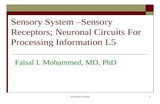University of Jordan1 Sensory System –Sensory Receptors; Neuronal Circuits For Processing Information L5 Faisal I. Mohammed, MD, PhD.