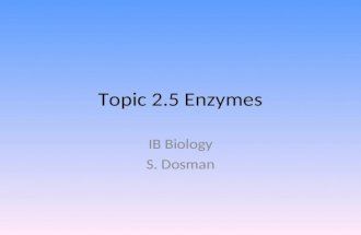 Topic 2.5 Enzymes IB Biology S. Dosman. Topic 2.5 Outcomes 2.5 (U1) Enzymes have an active site to which specific substrates bind. 2.5 (U2) Enzymes catalysis.