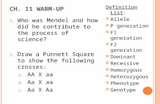 C H. 11 W ARM -U P 1. Who was Mendel and how did he contribute to the process of science? 2. Draw a Punnett Square to show the following crosses: A. AA.
