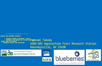 2015 Spring Meeting Florida Blueberry Growers’ Association CURRENT USDA BLUEBERRY RESEARCH: * SEASONAL SHADING OF BLUEBERRY PLANTS * MECHANICAL AND HARVEST-AID.