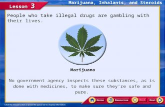 Lesson 3 People who take illegal drugs are gambling with their lives. No government agency inspects these substances, as is done with medicines, to make.