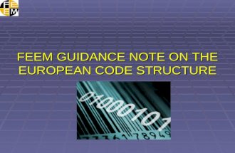 FEEM GUIDANCE NOTE ON THE EUROPEAN CODE STRUCTURE.