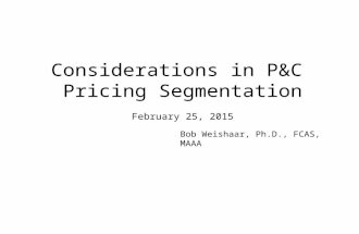 Considerations in P&C Pricing Segmentation February 25, 2015 Bob Weishaar, Ph.D., FCAS, MAAA.