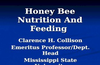 Honey Bee Nutrition And Feeding Clarence H. Collison Emeritus Professor/Dept. Head Mississippi State University.