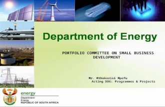 PORTFOLIO COMMITTEE ON SMALL BUSINESS DEVELOPMENT Mr. Mthokozisi Mpofu Acting DDG: Programmes & Projects.