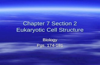 Chapter 7 Section 2 Eukaryotic Cell Structure Biology Pgs. 174-181.