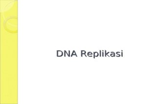 DNA Replikasi. DNA RNA protein transcriptiontranslationreplication reverse transcription Central dogma.