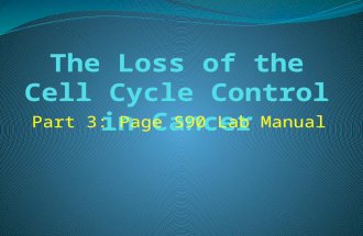 Part 3: Page S90 Lab Manual. Loss of Cell Cycle Control in Cancer Prelab Questions for Part 3 How are normal cells and cancer cells different from each.