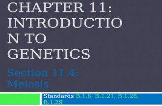 CHAPTER 11: INTRODUCTION TO GENETICS Standards B.1.8, B.1.21, B.1.28, B.1.29 Section 11.4: Meiosis.