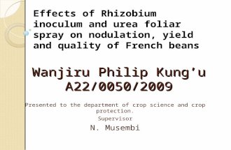 Wanjiru Philip Kung’u A22/0050/2009 Presented to the department of crop science and crop protection. Supervisor N. Musembi Effects of Rhizobium inoculum.