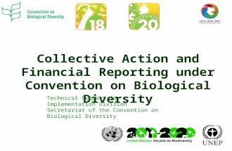 Collective Action and Financial Reporting under Convention on Biological Diversity Technical Support for Implementation Division Secretariat of the Convention.