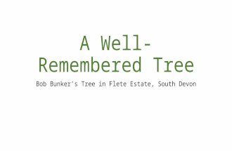 A Well-Remembered Tree Bob Bunker’s Tree in Flete Estate, South Devon.