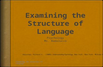 Examining the Structure of Language Kasschau, Richard A. (2008). Understanding Psychology. New York, New York: McGraw Hill.