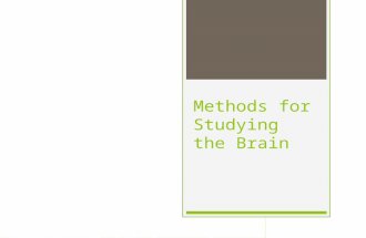 Methods for Studying the Brain. 3C Answers 1. A 2. A 3. B 4. C 5. E 6. D 7. B 8. B 9. A 10. C 11. E 12. D 13. A 14. C 15. D FRQ: Fraternal vs. Identical.