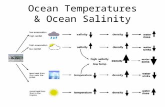 Ocean Temperatures & Ocean Salinity. Describe a Pattern: 5 steps BHFAL it!! 1.Big ideas 2.Highest and lowest 3.Figures and places 4.Anomalies 5.Links.
