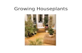 Growing Houseplants. Why grow houseplants? To enhance room decor –Fill in gaps –Brighten an area (empty wall space, unused fireplace, stairwell, corner)