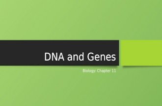 DNA and Genes Biology: Chapter 11Biology: Chapter 11.