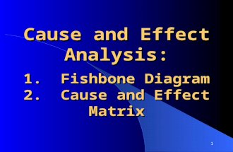 1 Cause and Effect Analysis: 1. Fishbone Diagram 2. Cause and Effect Matrix.