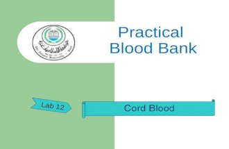 Cord Blood Lab 12 Practical Blood Bank. Umbilical cord In placental mammals, the umbilical cord (also called the birth cord or funiculus umbilicalis)
