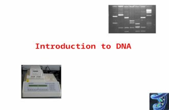 Introduction to DNA. The Central Dogma of Biology.