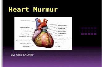 By: Alex Shutter. … A heart murmur is an extra or unusual sound heard during heartbeat. Heart murmurs can vary in sounds. Some can be very loud and some.