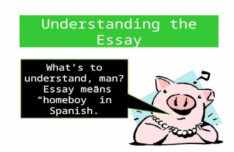 Understanding the Essay What’s to understand, man? Essay means “homeboy” in Spanish.