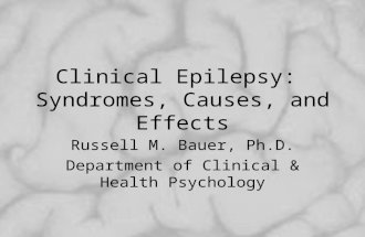 Clinical Epilepsy: Syndromes, Causes, and Effects Russell M. Bauer, Ph.D. Department of Clinical & Health Psychology.
