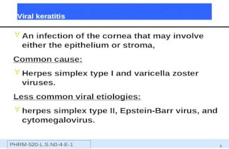 Viral keratitis  An infection of the cornea that may involve either the epithelium or stroma, Common cause:  Herpes simplex type I and varicella zoster.