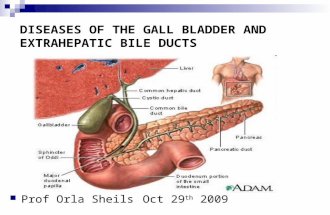 DISEASES OF THE GALL BLADDER AND EXTRAHEPATIC BILE DUCTS Prof Orla Sheils Oct 29 th 2009.