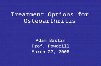 Treatment Options for Osteoarthritis Adam Bastin Prof. Powdrill March 27, 2008.