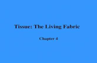 Tissue: The Living Fabric Chapter 4. Chapter Outline Epithelial Tissue Connective Tissue Epithelial Membranes Nervous Tissue Muscle Tissue Tissue Repair.