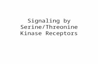 Signaling by Serine/Threonine Kinase Receptors. Major Classes of Protein Ser/Thr Kinases (not a complete list) 2 nd -Messenger-dependent protein kinases.