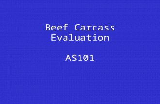 Beef Carcass Evaluation AS101. Beef Packing Industry Packing Plants –Tyson, JBS, CMS, National –Daily Slaughter Capacity 128,000 82% steers & heifers.