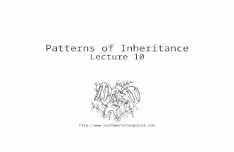 Http:// Patterns of Inheritance Lecture 10.