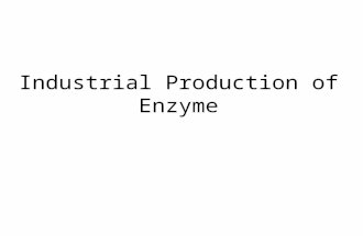 Industrial Production of Enzyme. Biologically active enzymes may be extracted from any living organism: Of the hundred enzymes being used industrially,