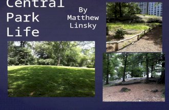 { Central Park Life By Matthew Linsky.  Central Park is many different things to many different people. To some, it is a place to relax. To others, it.