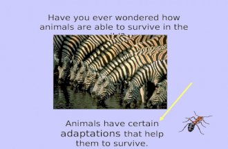 Have you ever wondered how animals are able to survive in the wild? Animals have certain adaptations that help them to survive.