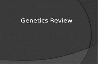 Genetics Review. Gregor Mendel is known as: A. Father of Biology B. Father of Genetics C. Father of DNA D. Father of Science B. Father of Genetics.