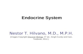 Endocrine System Nestor T. Hilvano, M.D., M.P.H. (Images Copyright Discover Biology, 5 th ed., Singh-Cundy and Cain, Textbook, 2012.)