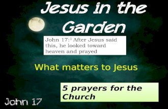 John 17: 1 After Jesus said this, he looked toward heaven and prayed What matters to Jesus 5 prayers for the Church.