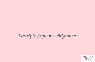Multiple Sequence Alignment. Terminology n Motif: the biological object one attempts to model - a functional or structural domain, active site, phosphorylation.