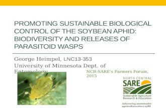 PROMOTING SUSTAINABLE BIOLOGICAL CONTROL OF THE SOYBEAN APHID: BIODIVERSITY AND RELEASES OF PARASITOID WASPS George Heimpel, LNC13-353 University of Minnesota.
