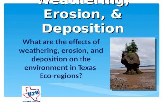 Weathering, Erosion, & Deposition What are the effects of weathering, erosion, and deposition on the environment in Texas Eco-regions?