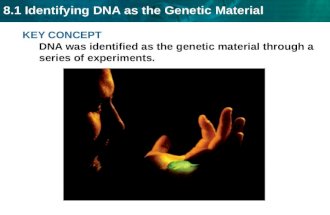 8.1 Identifying DNA as the Genetic Material KEY CONCEPT DNA was identified as the genetic material through a series of experiments.